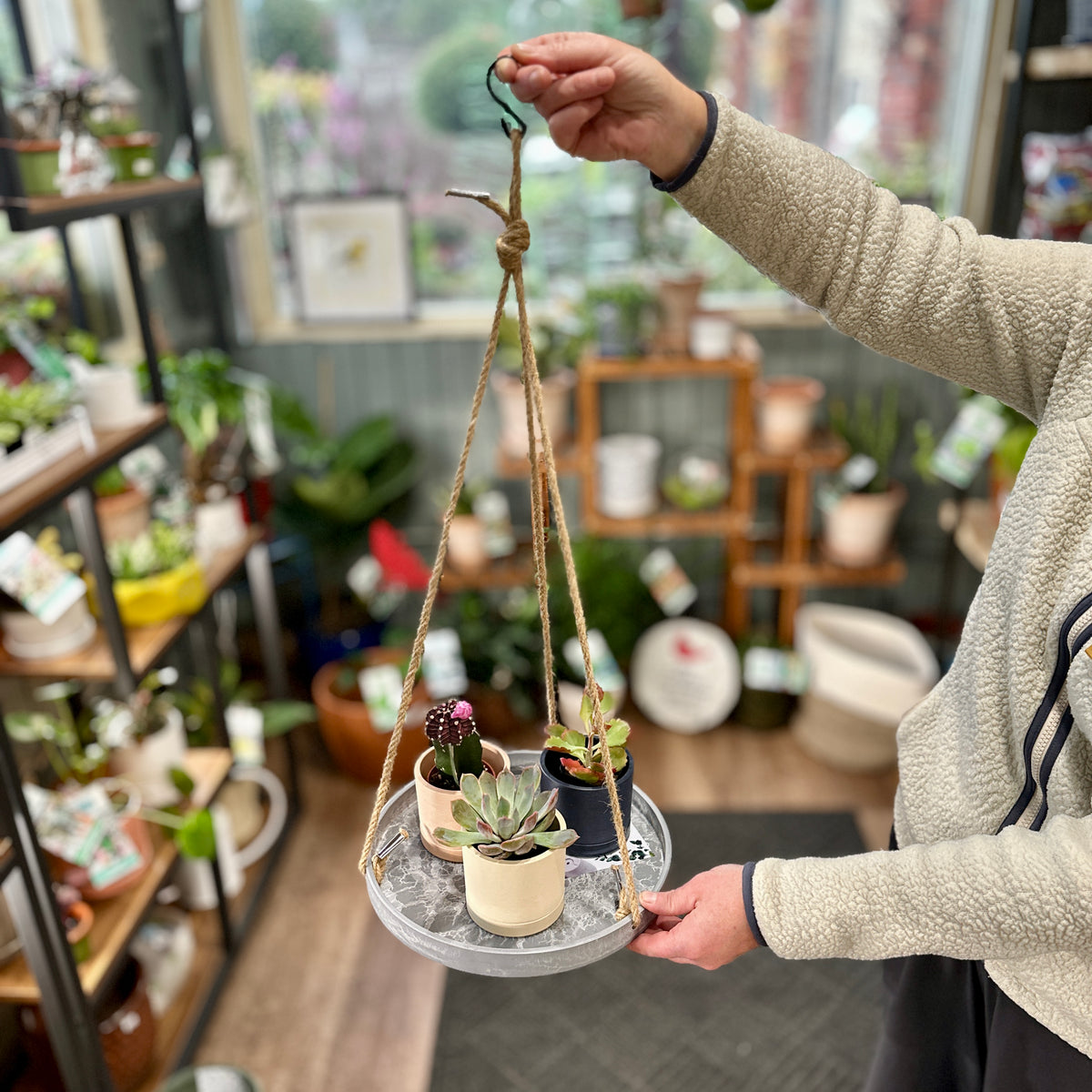 A person holds a hanging planter with three small potted succulents and cacti, looking down at the tray, at Paisley Gardens in Northfield, MN.