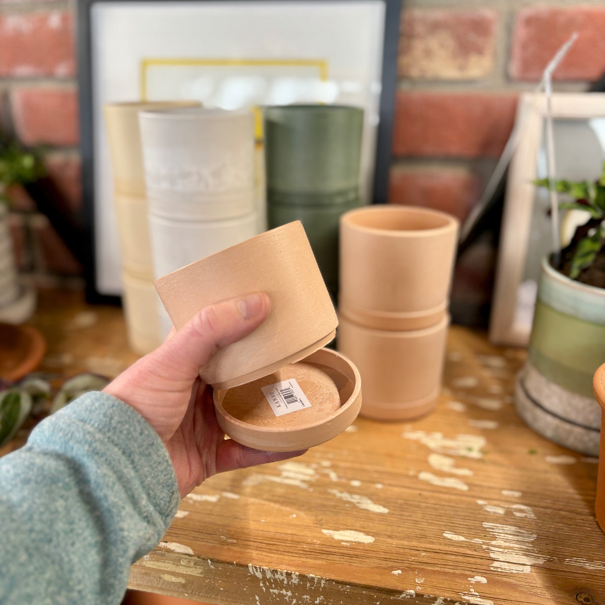 Hand holding a small recycled plastic container in a natural coral color with more containers stacked in the background on a wooden shelf at Paisley Gardens in Northfield, MN.