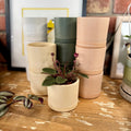 Earth tone planters stacked on a wooden surface with a blurred indoor setting at Paisley Gardens in Northfield, MN.