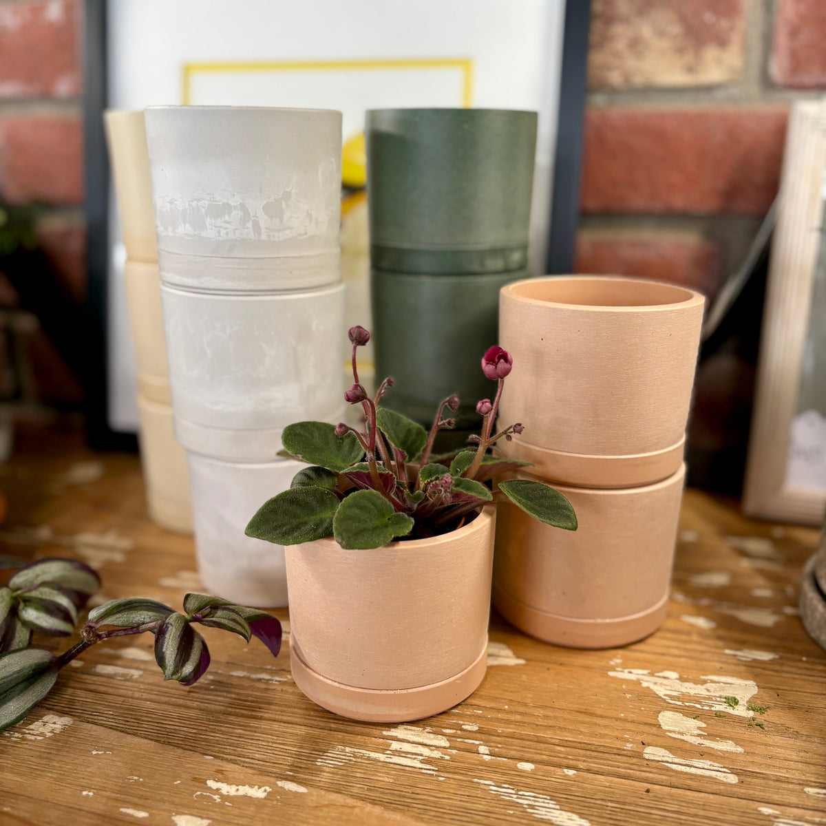 Set of recycled plastic pots with a small potted plant on a wooden surface at Paisley Gardens in Northfield, MN.
