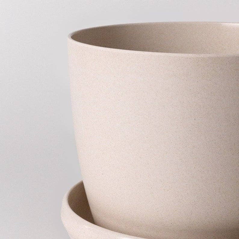 Close-up of an ivory recycled bamboo fiber pot on a light gray background at Paisley Gardens in Northfield, MN.