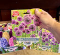 A hand holding a package of mixed Allium bulbs called 'Butterfly Meadow' at Paisley Gardens in Northfield, MN.