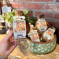 A hand holds an indoor amaryllis bulb with its product tag featuring flowers with salmon pink petals and a white center  in front of a brick wall and a ceramic planter filled with similar bulbs at Paisley Gardens in Northfield, MN.