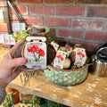 A hand holds a fresh amaryllis bulb with its label attached featuring a picture of dark red flowers and white centers on the petals.  The bulb is held in front of a rustic background with a brick wall, wooden shelf, and other potted plants at Paisley Gardens in Northfield, MN.