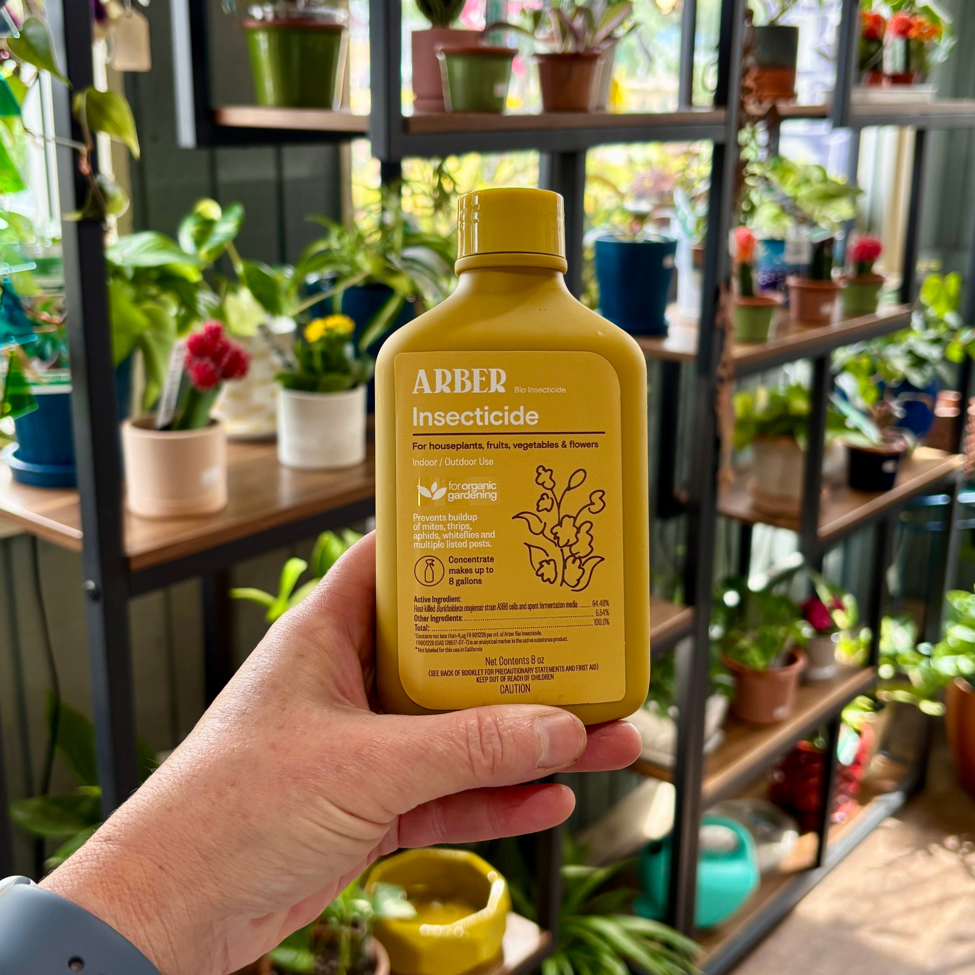 A hand holds a yellow bottle of ABER Insecticide in front of a background of indoor plant shelves at Paisley Gardens in Northfield, MN.