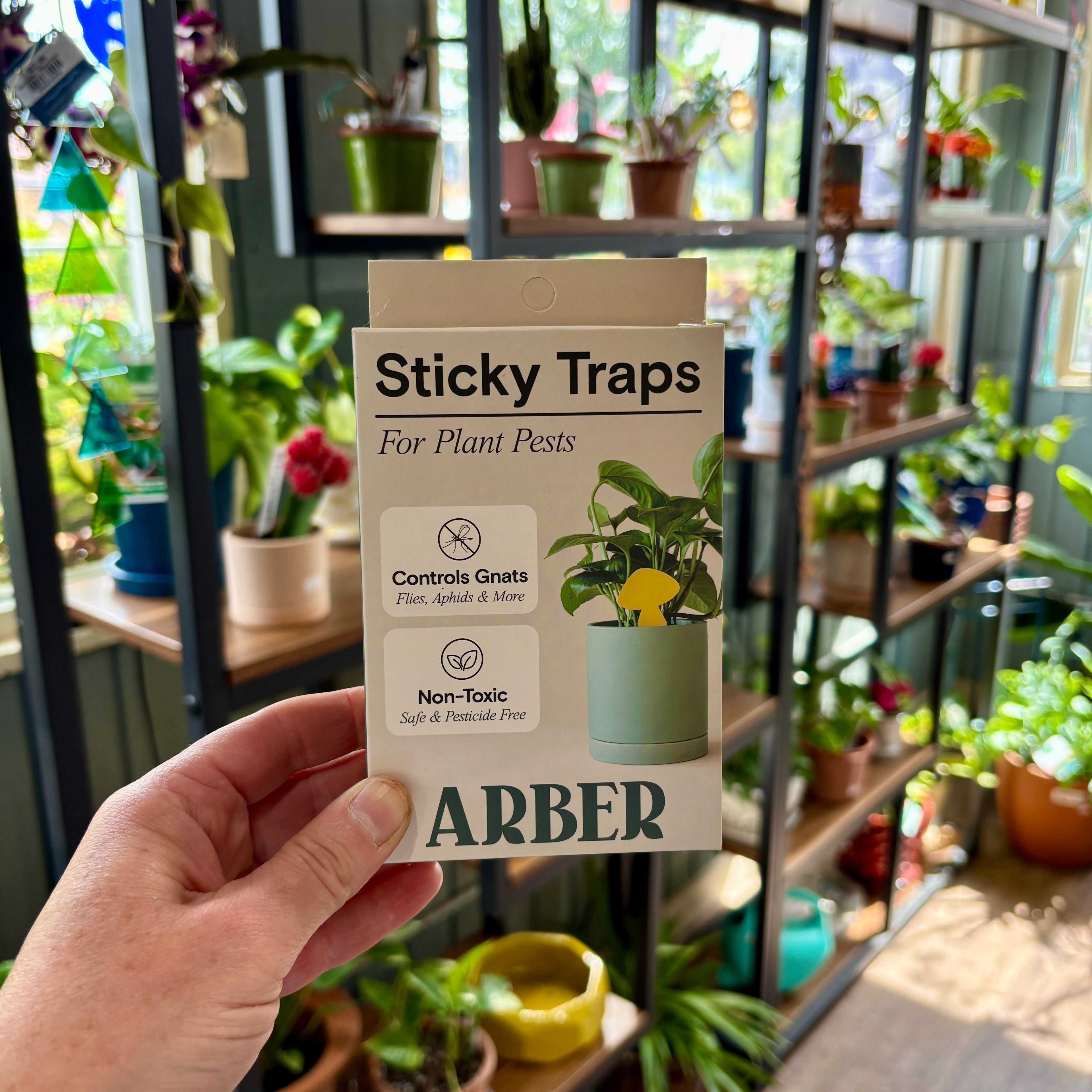 A hand holding a package of sticky traps with a blurred background of shelves with plants and pots at Paisley Gardens in Northfield, MN.