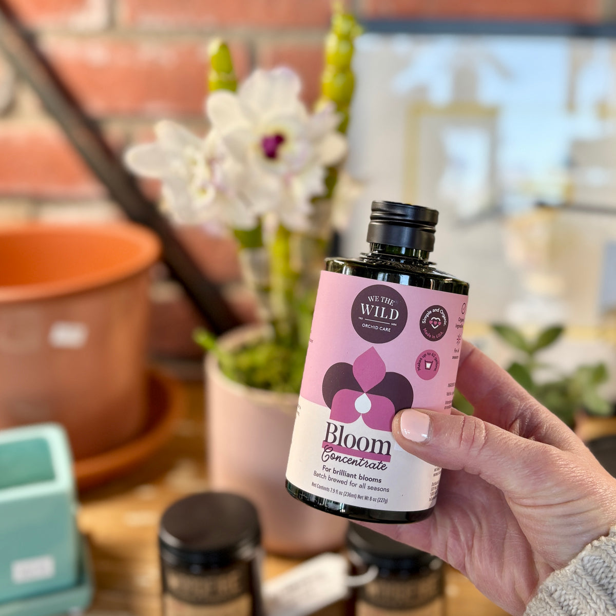 A hand holding a bottle of Bloom liquid fertilizer in front of a blurred white orchid plant at Paisley Gardens in Northfield, MN.