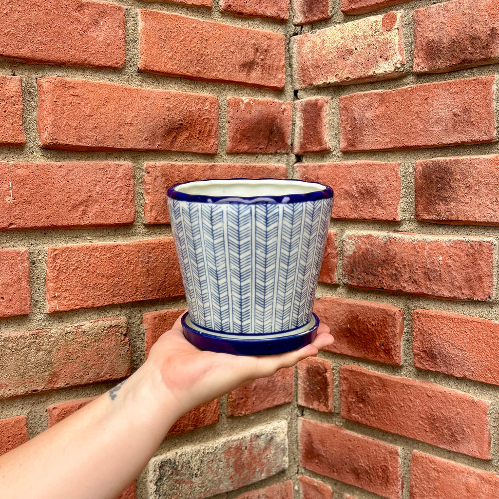 A hand holds a small ceramic planter pot with a blue and white chevron pattern, set against a red brick wall background at Paisley Gardens in Northfield, MN..