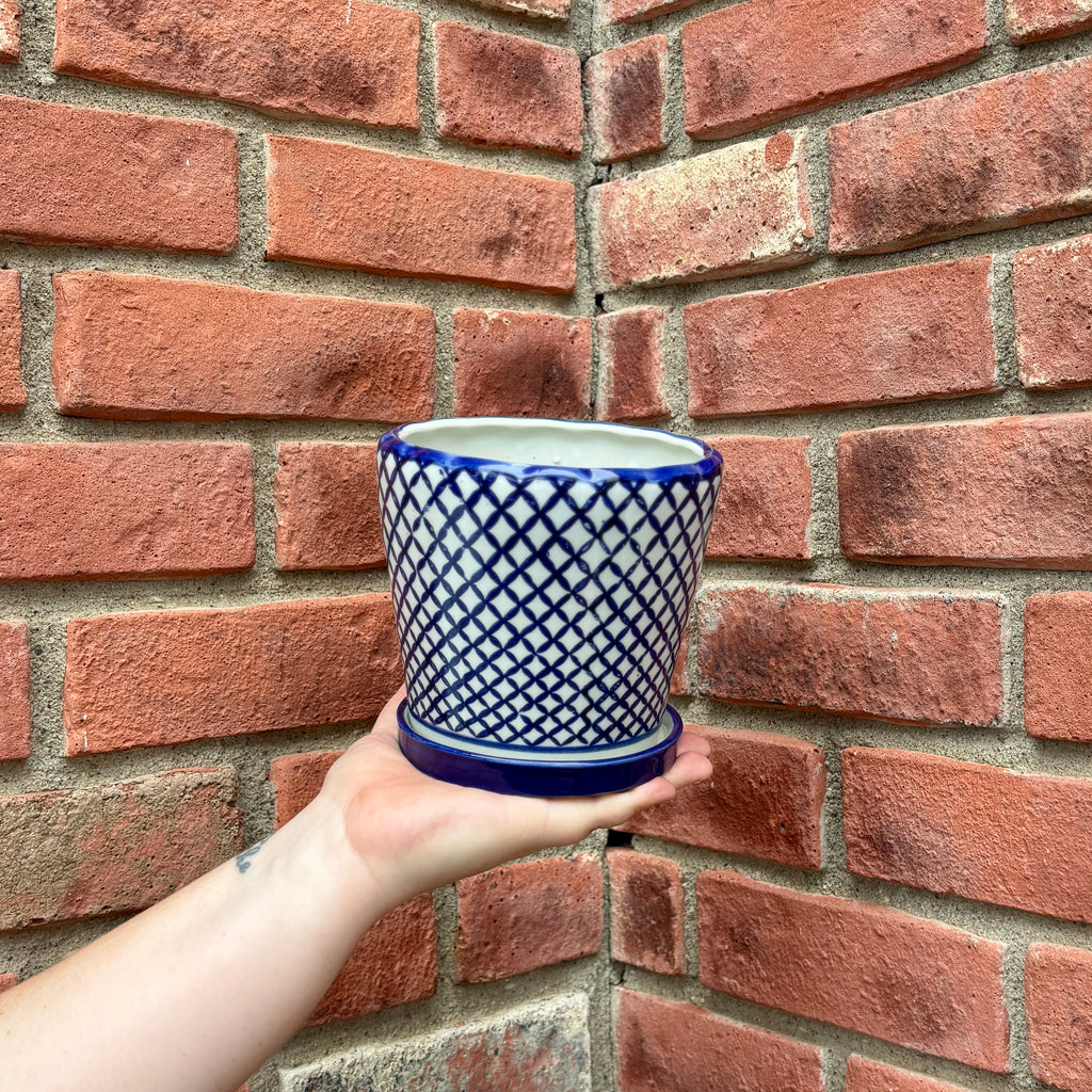 A hand holds a small ceramic planter pot with a blue and white geometric lattice pattern, set against a red brick wall background.