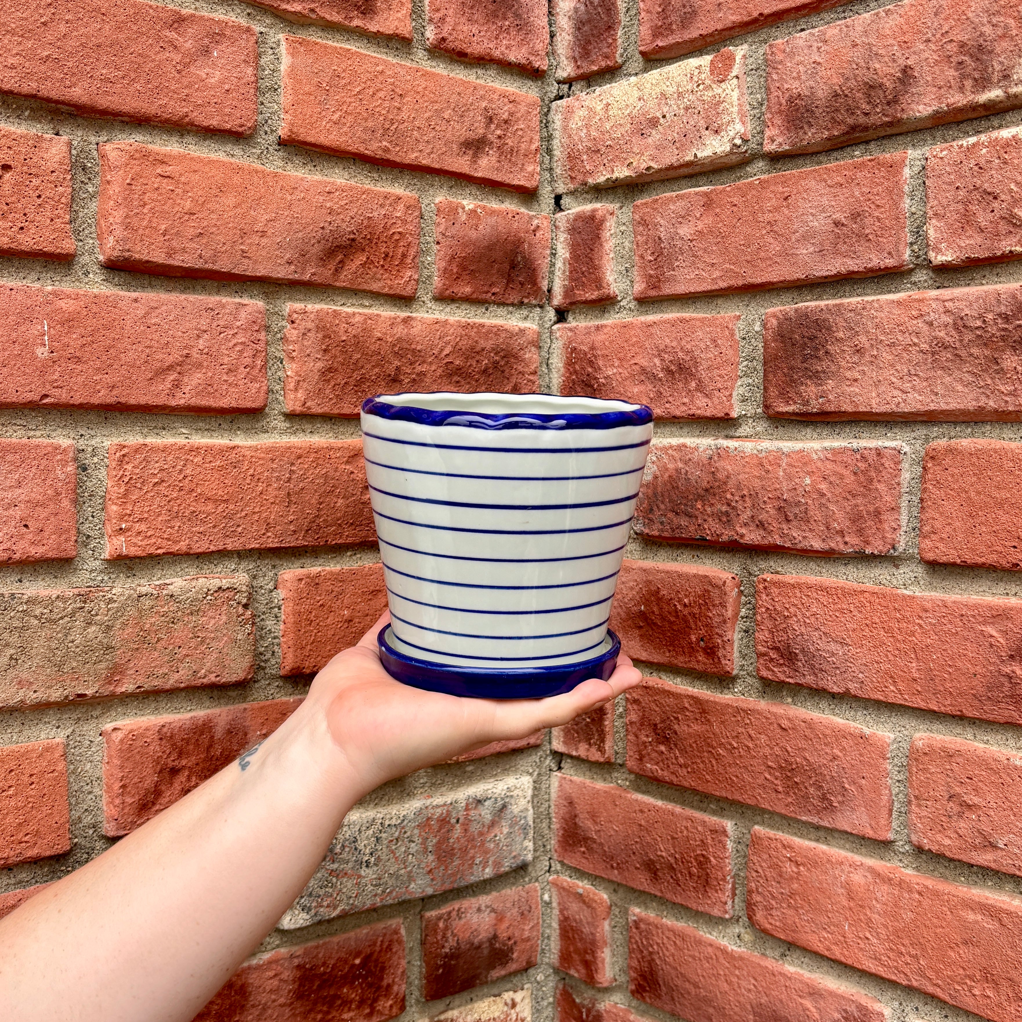 A hand holds a small ceramic planter pot with blue horizontal stripes and a solid blue rim, set against a red brick wall corner.