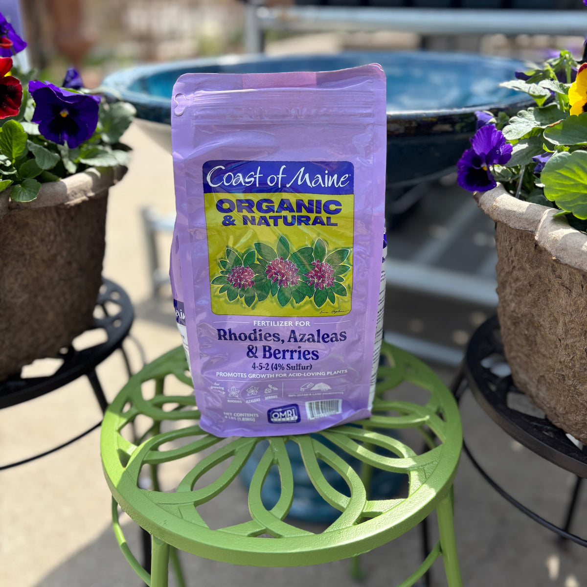 A bag of Coast of Maine Organic & Natural Rhododendron, Azalea & Berry garden mix stands on a green metal plant stand outdoors, surrounded by potted flowers at Paisley Gardens in Northfield, MN.