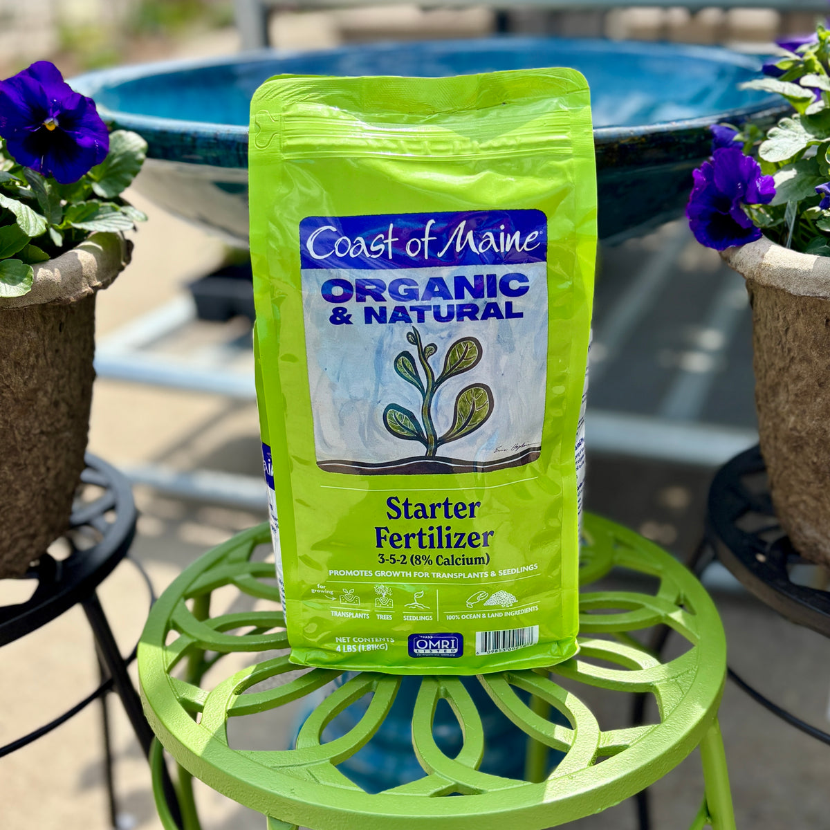 A bag of Coast of Maine Organic & Natural Starter Fertilizer sits on a bright green metal plant stand, with potted purple flowers and a blue bird bath in the background at Paisley Gardens in Northfield, MN.