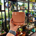 A coral-colored glazed ceramic planter with an attached saucer, held by a hand in front of a background of indoor plant shelves.