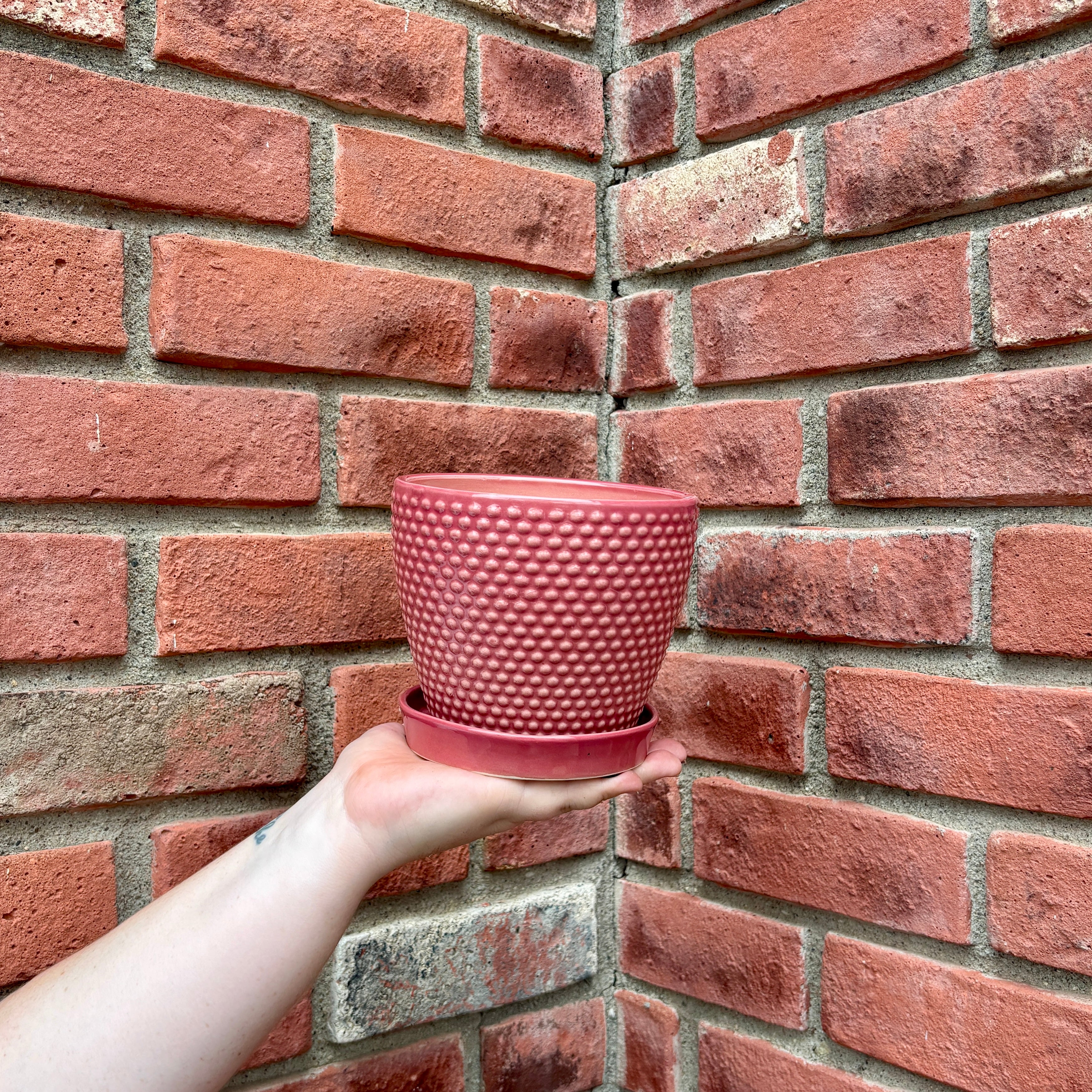 A coral pink textured ceramic pot with a matching saucer, held by a person's hand against a red brick wall background at Paisley Gardens in Northfield, MN.