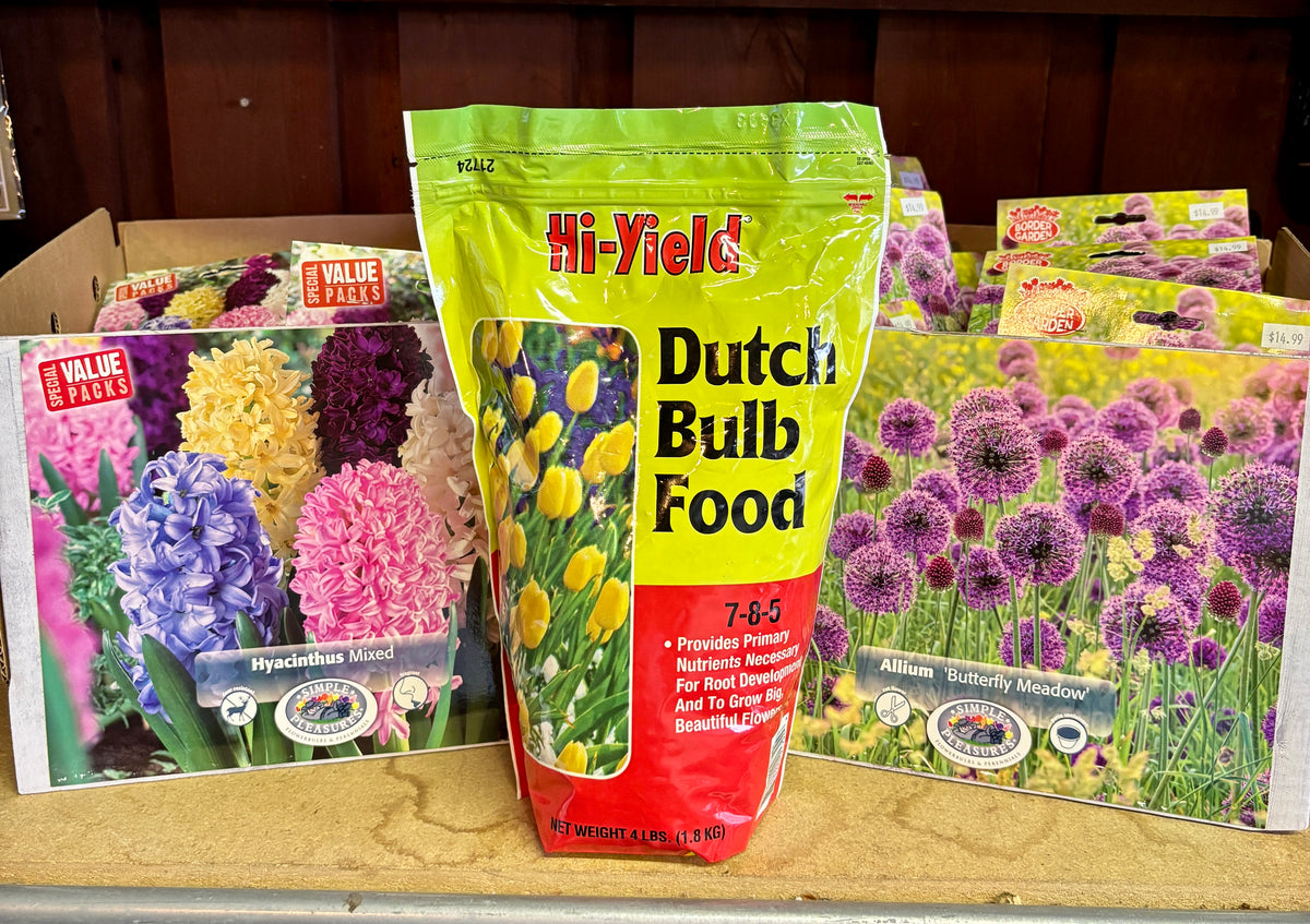 A bag of Hi-Yield Dutch Bulb Food fertilizer standing on a wooden shelf, flanked by bulb packets for Hyacinth and Allium varieties at Paisley Gardens in Northfield, MN.