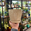 White Floral Planter w/ Attached Saucer | 5" Tall x 6" Diameter