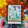 Package of bulbs  for double snowdrops surrounded by colorful flowers at Paisley Gardens in Northfield, MN.