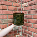 A hand holds a dark green glazed ceramic pot with a matching saucer, featuring embossed tropical leaf patterns, set against a red brick wall corner at Paisley Gardens in Northfield, MN..