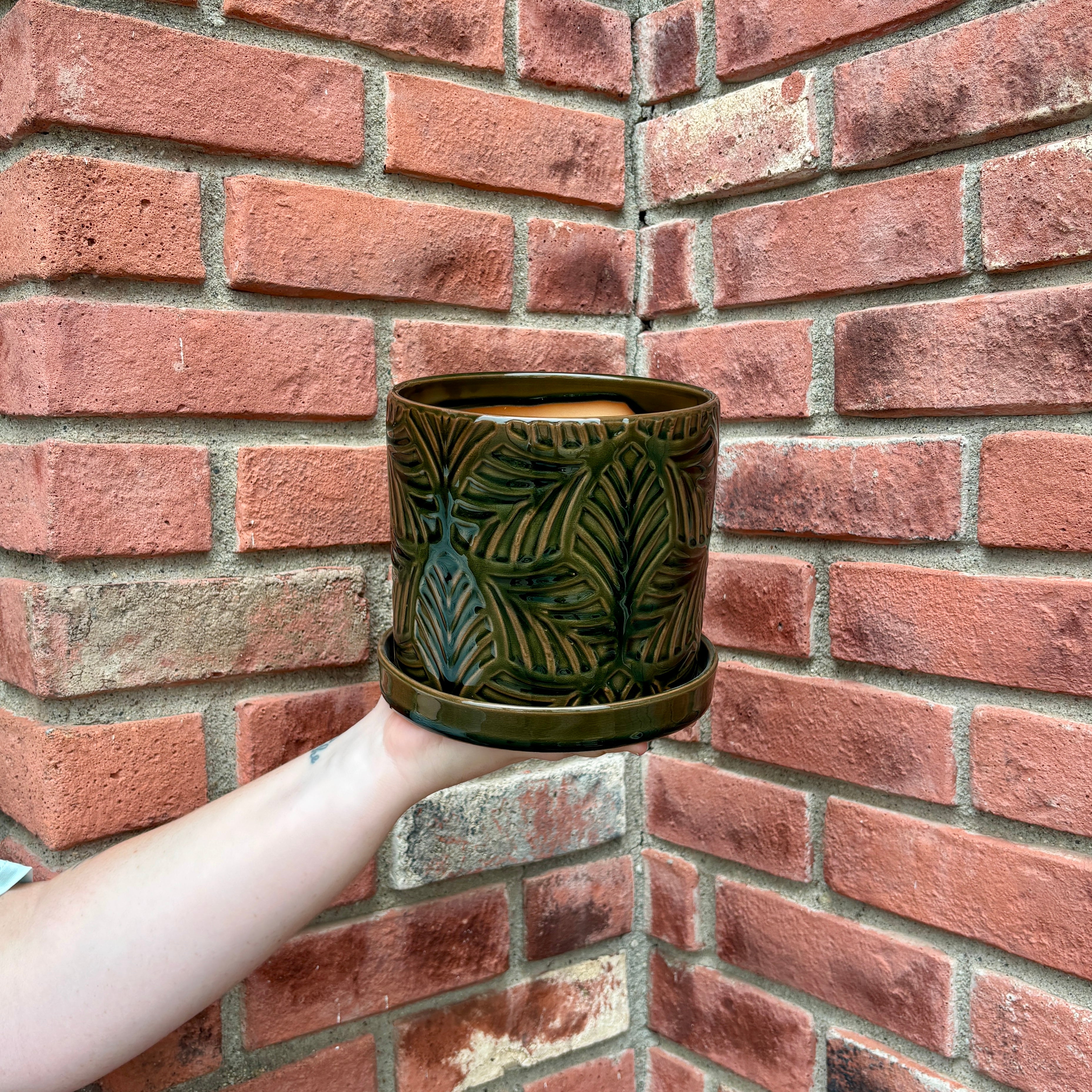 A hand holds a dark green glazed ceramic pot with a matching saucer, featuring embossed tropical leaf patterns, set against a red brick wall corner at Paisley Gardens in Northfield, MN..