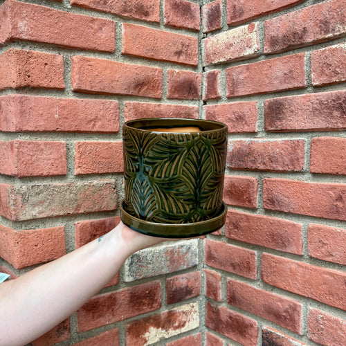 A hand holds a dark green glazed ceramic pot with a matching saucer, featuring embossed tropical leaf patterns, set against a red brick wall corner at Paisley Gardens in Northfield, MN..