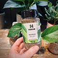 A hand holds a bottle of Humane NutriDense organic and natural indoor fertilizer in front of a background of potted green plants at Paisley Gardens in Northfield, MN.