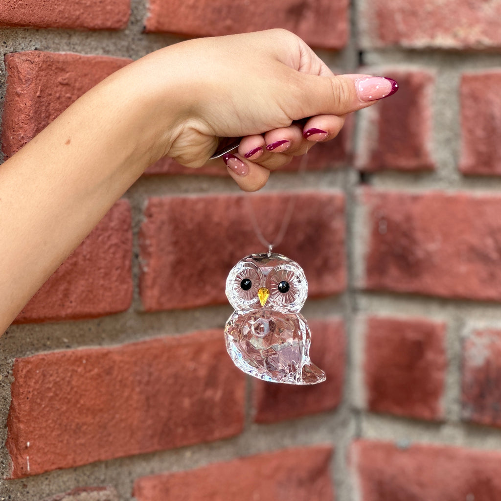 A hand with manicured nails holds a clear owl ornament against a red brick wall background at Paisley Gardens in Northfield, MN