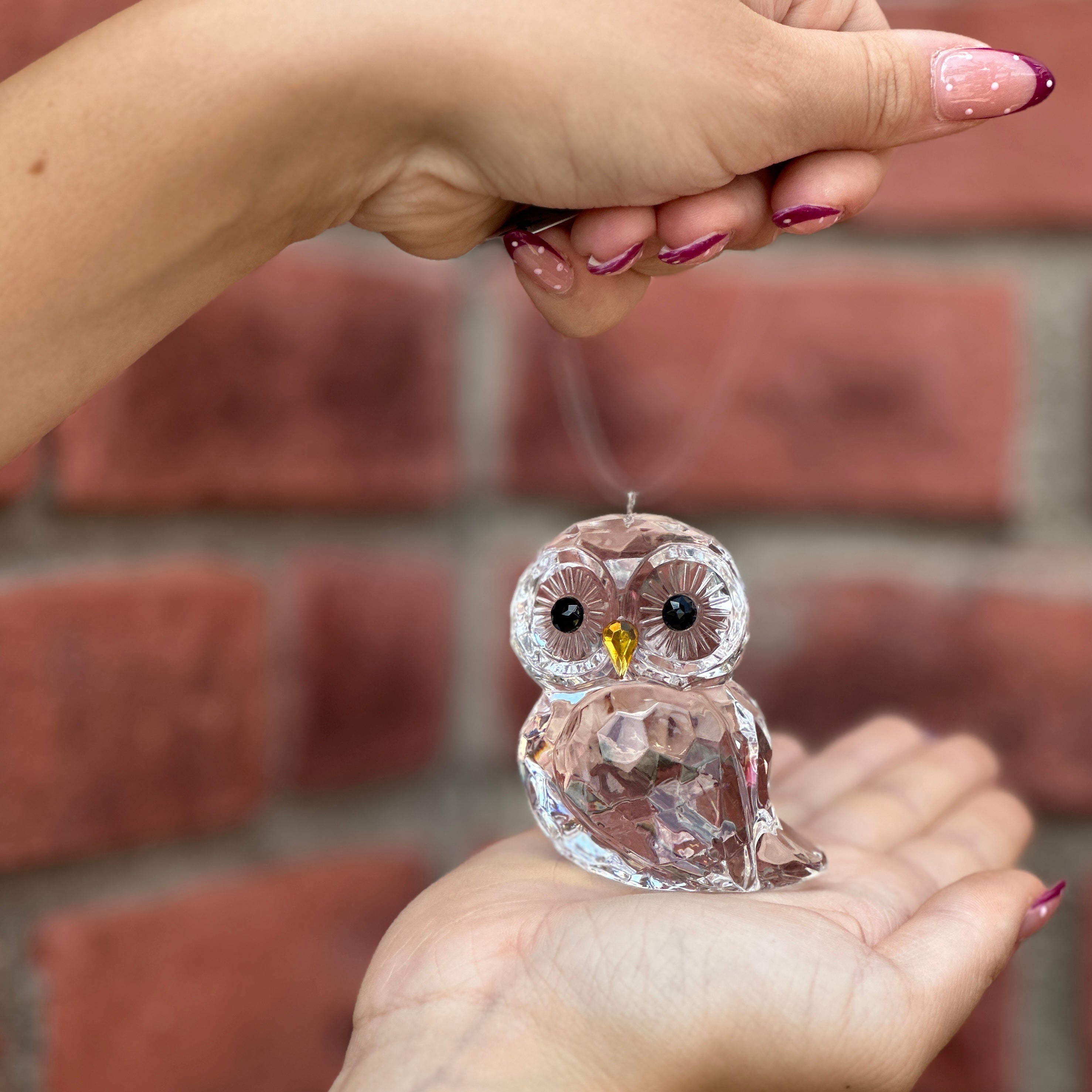 A clear faceted owl ornament being held in two hands, with a red brick wall blurred in the background at Paisley Gardens in Northfield, MN.