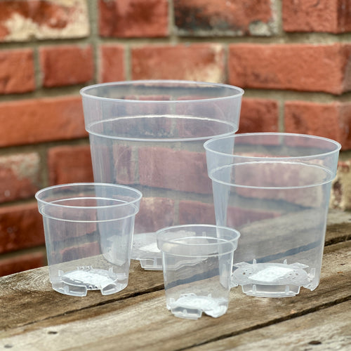 Four clear plastic nursery pots, in different sizes, arranged on a wooden surface with a red brick wall background at Paisley Gardens in Northfield, MN.