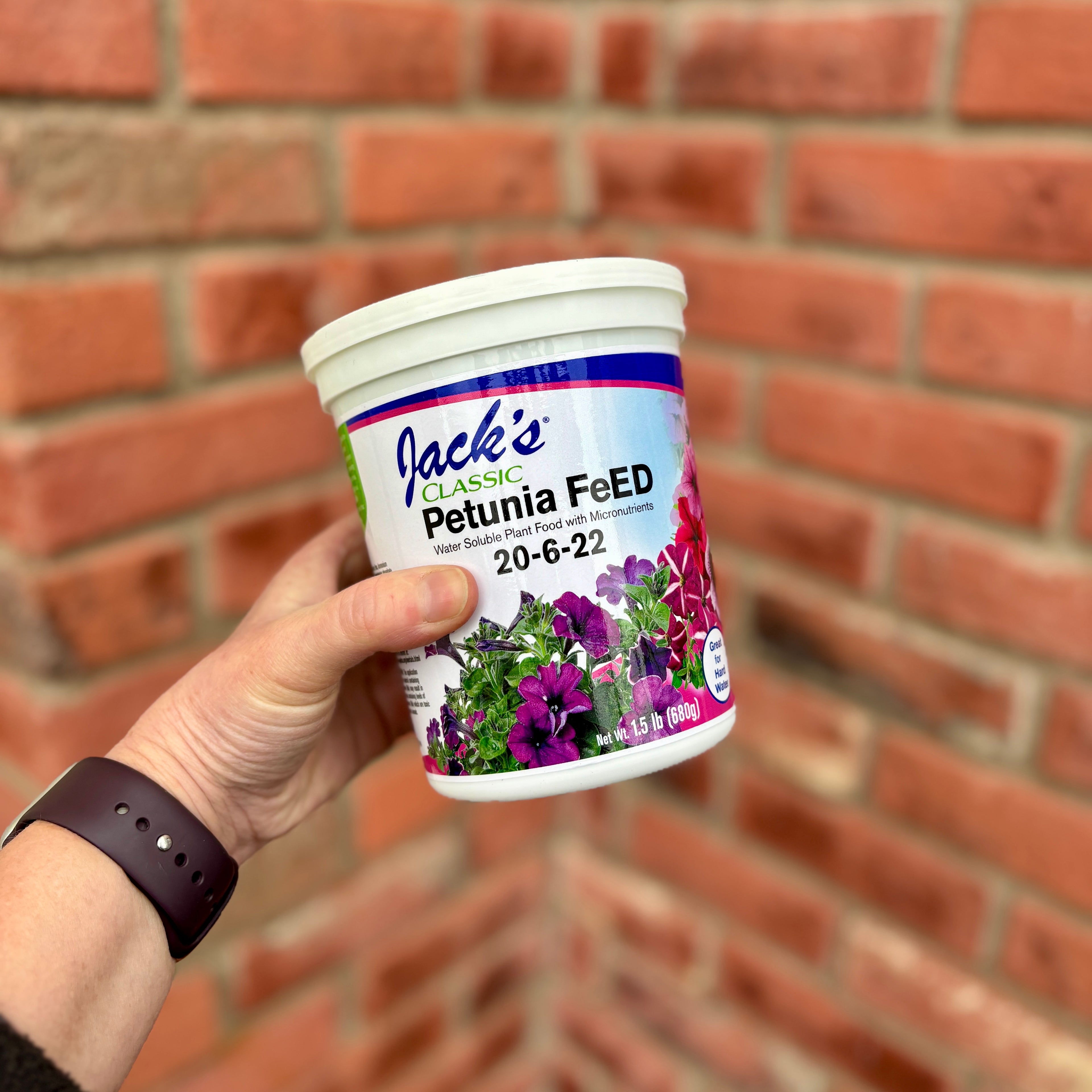 A hand holding a white tub of Jack's Classic Petunia FeED fertilizer in front of a blurred red brick wall background.