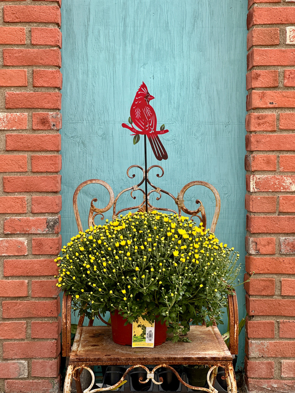 A potted plant of yellow mums sits on a rustic wrought-iron garden chair in front of a turquoise wooden door framed by red brick walls. A red metal cardinal garden stake is mounted above the chair at Paisley Gardens in Northfield, MN.