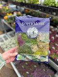 A hand holds a bag of SuperMoss Moss Mix in a garden center. The packaging is dark blue with white text and a clear window showing the green and purple moss inside. For sale at Paisley Gardens in Northfield, MN.