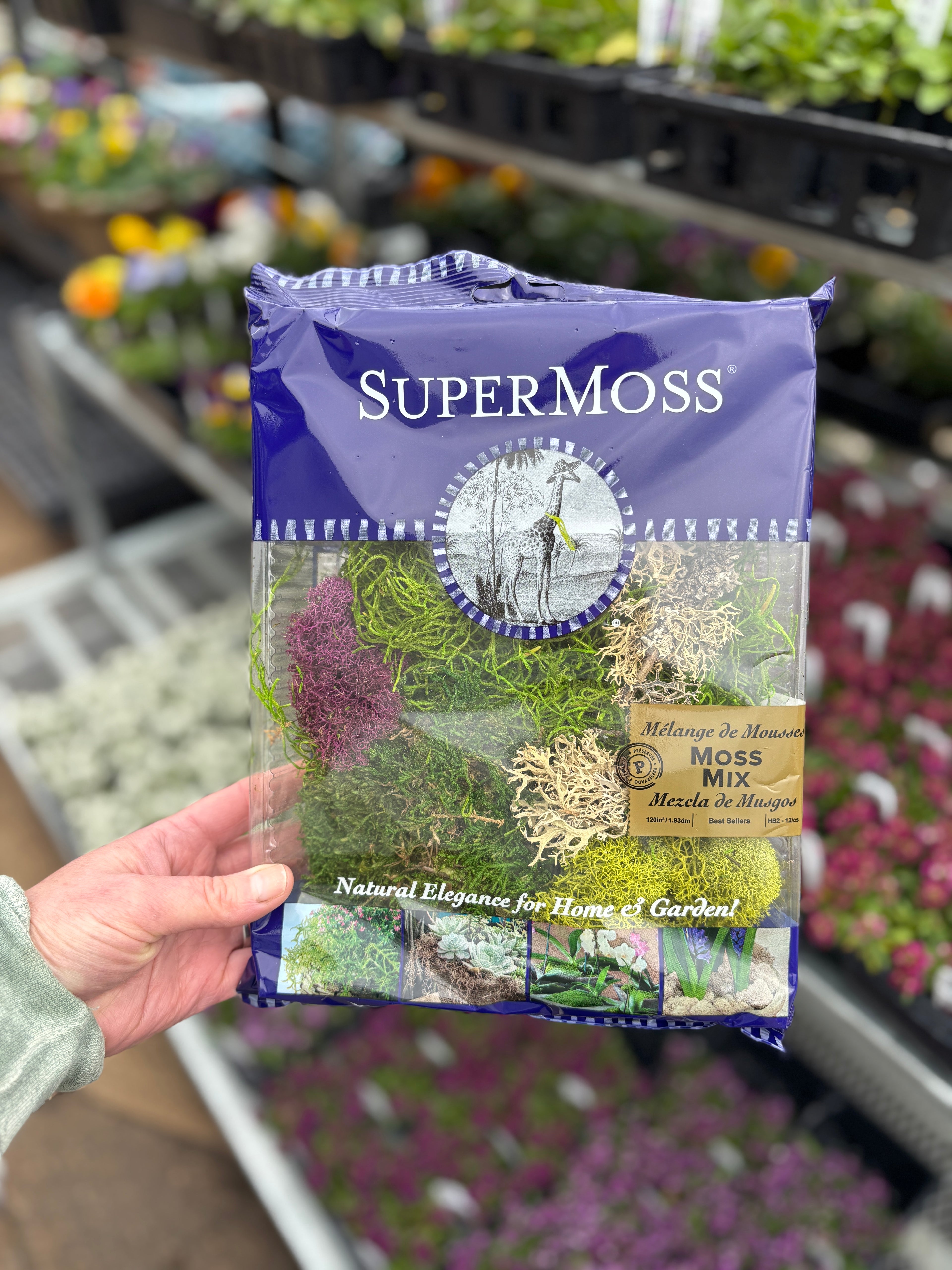 A hand holds a bag of SuperMoss Moss Mix in a garden center. The packaging is dark blue with white text and a clear window showing the green and purple moss inside. For sale at Paisley Gardens in Northfield, MN.