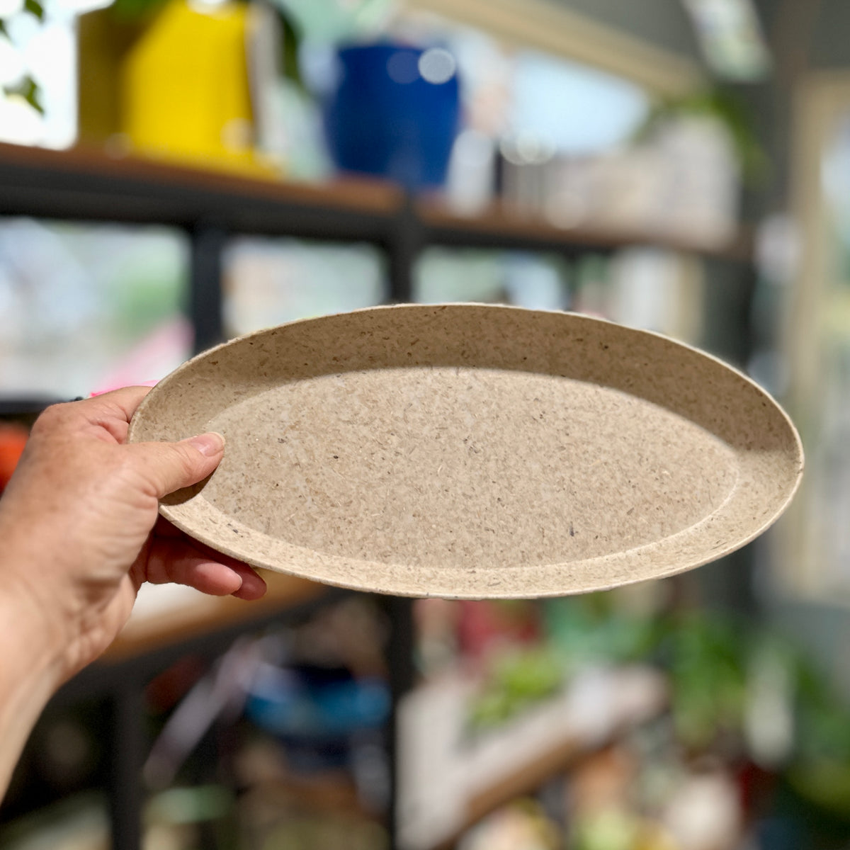 A hand holding a speckled natural colored, oval tray in a brightly lit, blurred plant room at Paisley Gardens in Northfield, MN.
