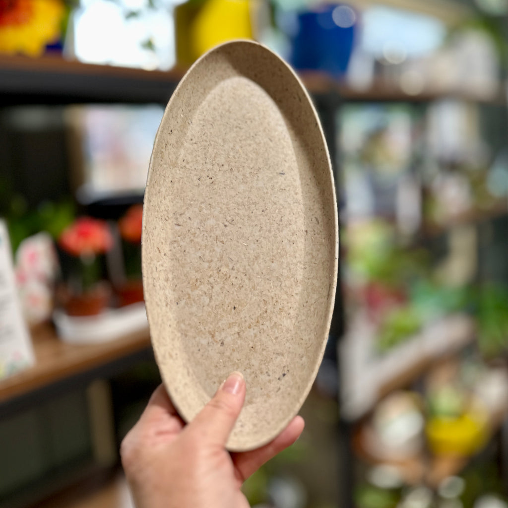 A hand holding an oval beige tray in a speckled, textured finish, set against a blurred background of a shop interior at Paisley Gardens in Northfield, MN.
