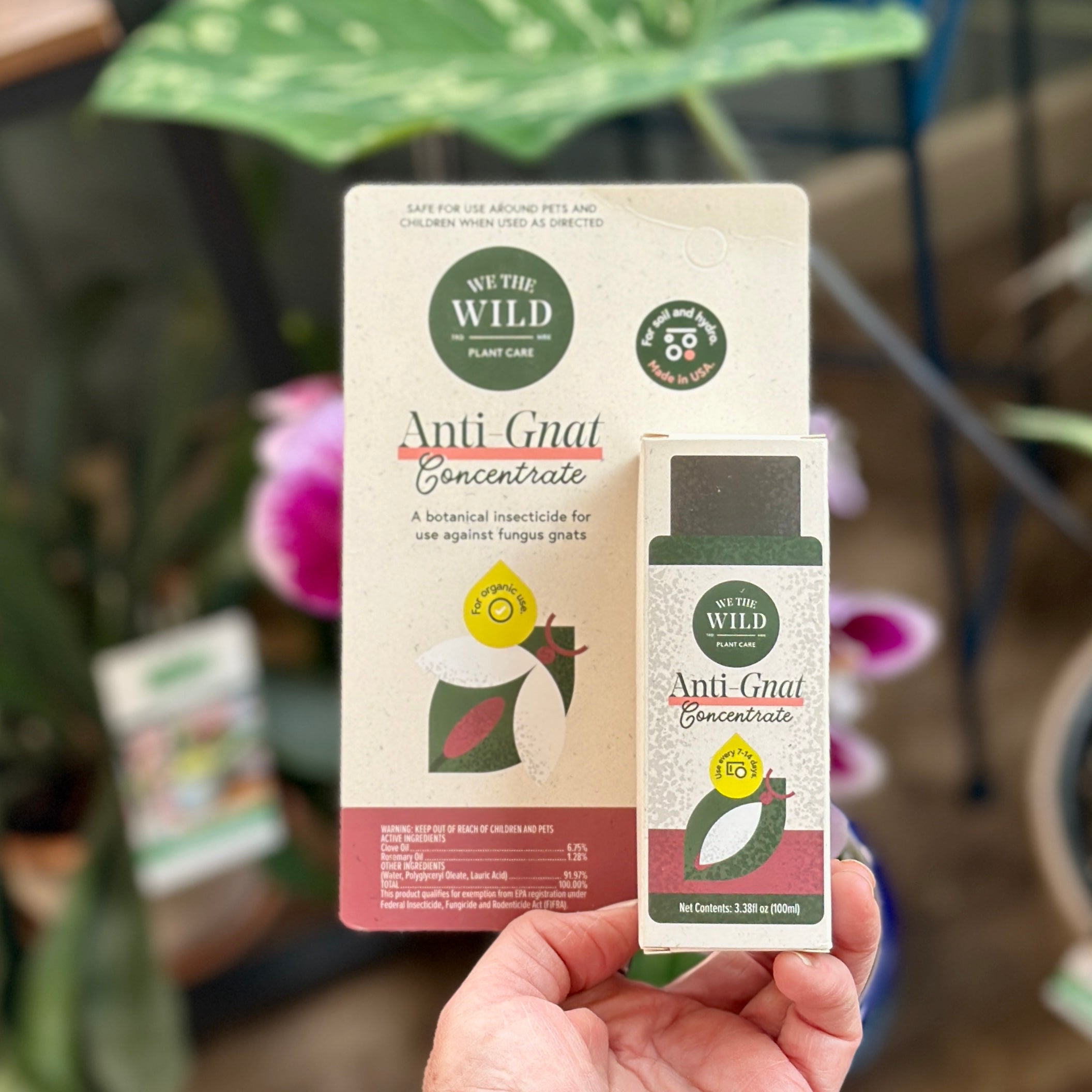 A hand holds a box of We The Wild Anti Gnat Concentrate against a blurred garden background with green leaves and pink flowers at Paisley Gardens in Northfield, MN.