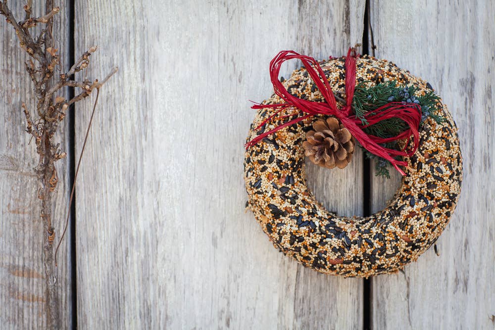 A birdseed wreath with a red bow, sprig of greenery and a pine cone hangs on a white wooden background at Paisley Gardens in Northfield, MN.
