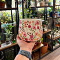 A hand holds a ceramic planter pot with a pink and red floral pattern on a cream background, set against a background of a plant shop with shelves of green plants.