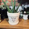 Aloe plant displayed in a pot with 'You had me at aloe' text on a wooden surface at Paisley Gardens in Northfield, MN.