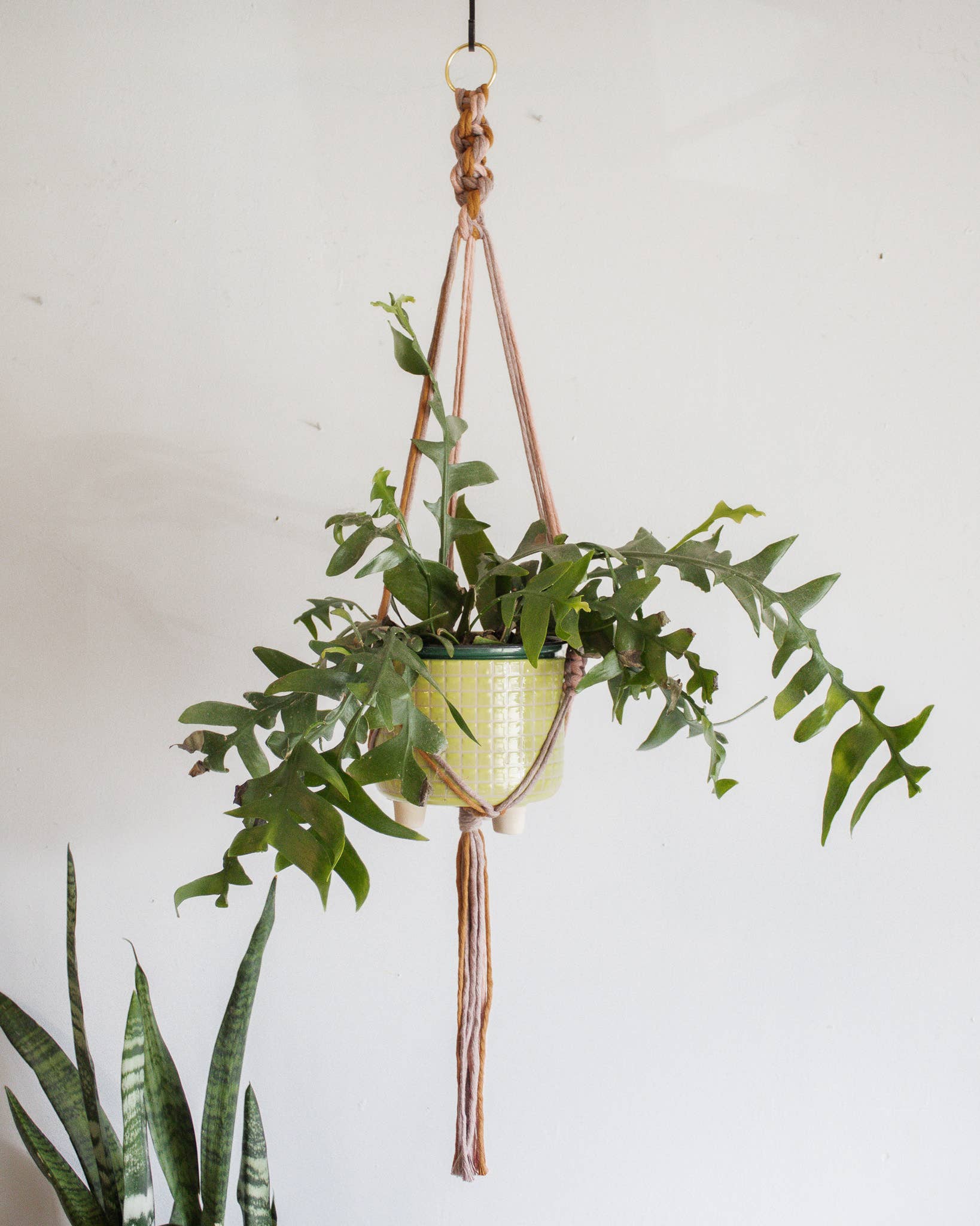 Chunky Twist Plant Hanger - Multicolor: Primrose