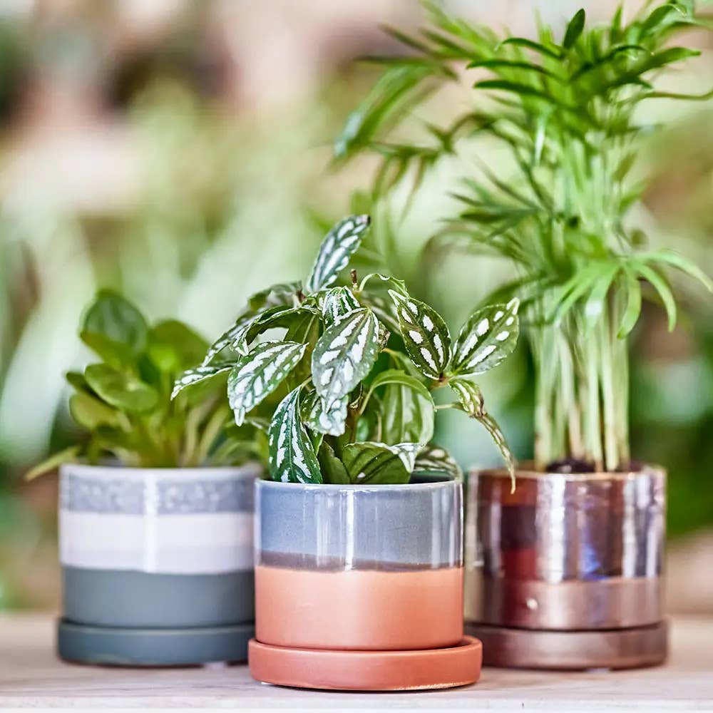 Minute Handmade Ceramic Planter Indoors Pot With Saucer: Bronze White, 5"