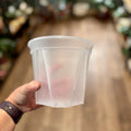 6 Inch Clear Nursery Grower's Pot