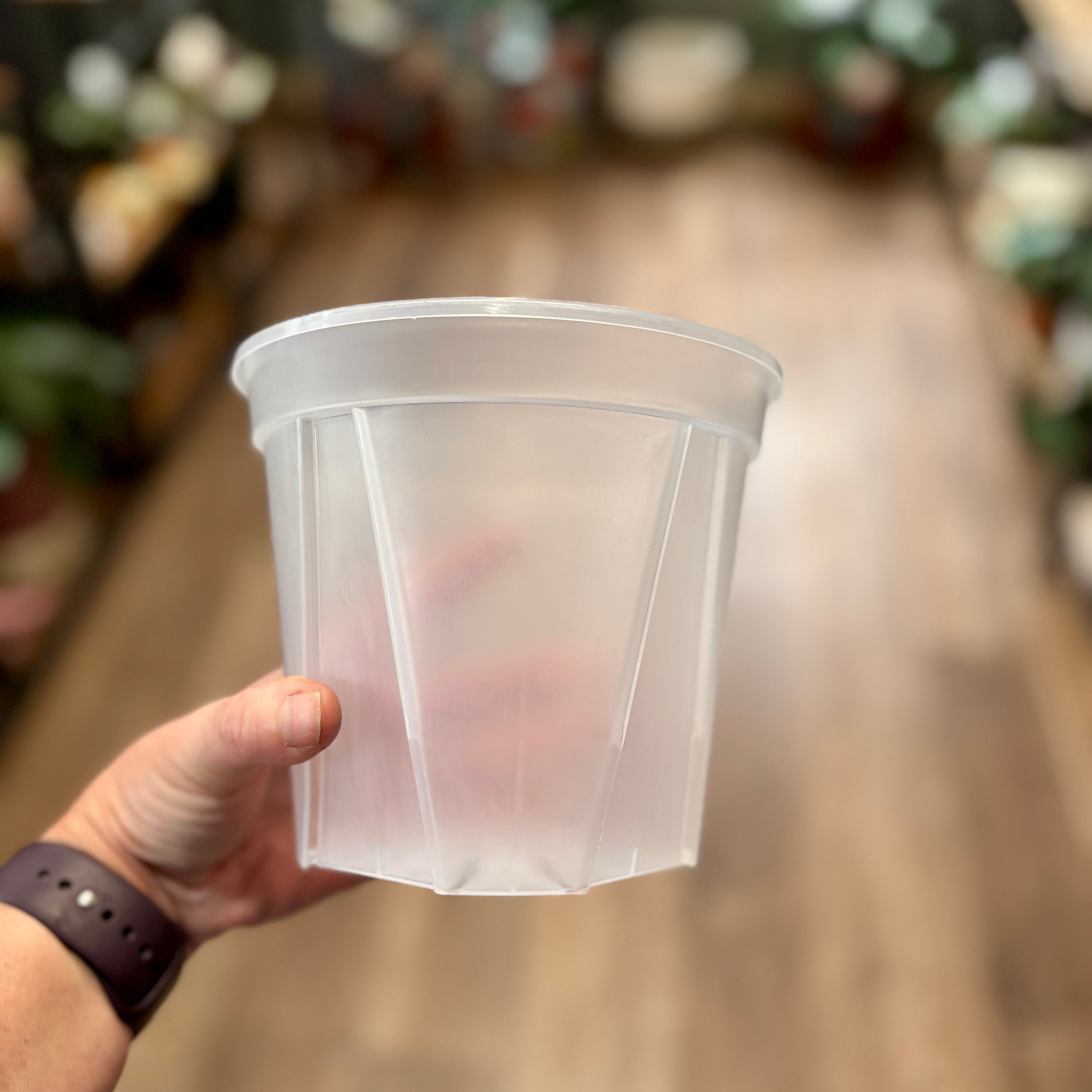 6 Inch Clear Nursery Grower's Pot