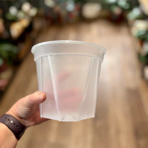 6 Inch Clear Nursery Grower's Pot