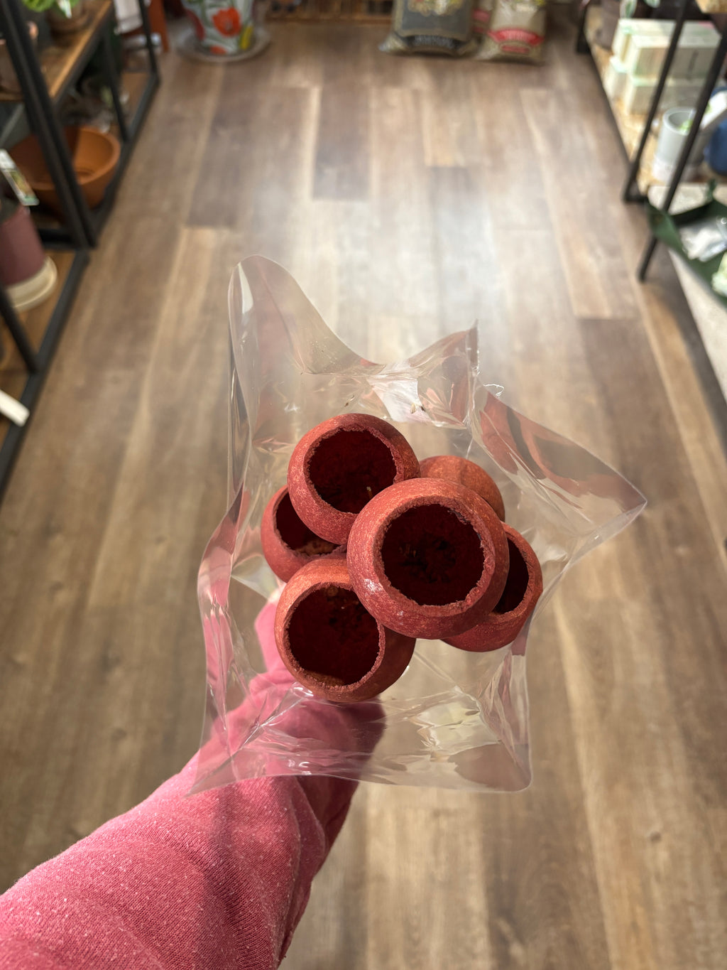 Bell Cup Mahogany 5-7/Pack