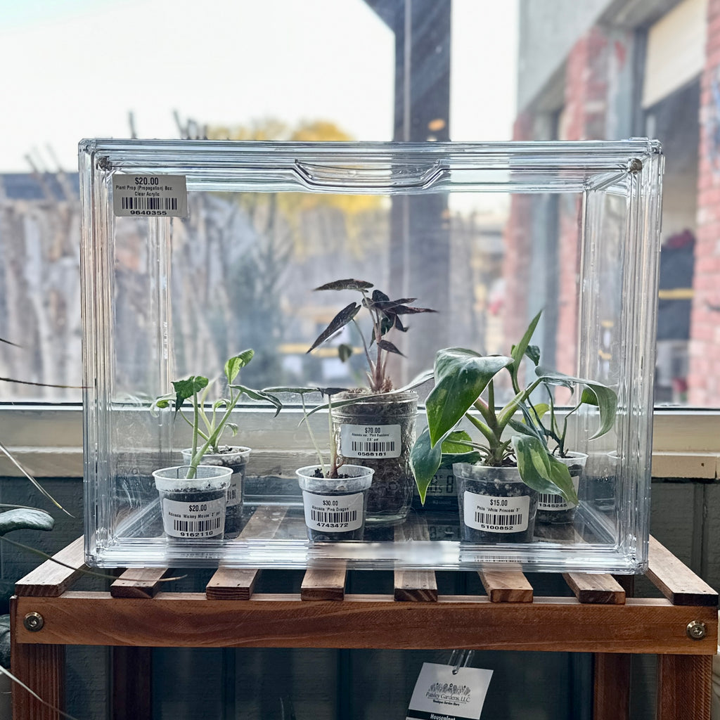 Plant Prop Propagation Box-Acrylic