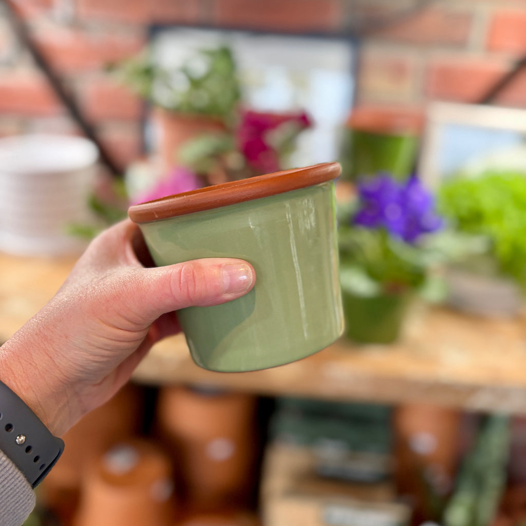 4.3" Sage Cylinder Glazed Terracotta Pot
