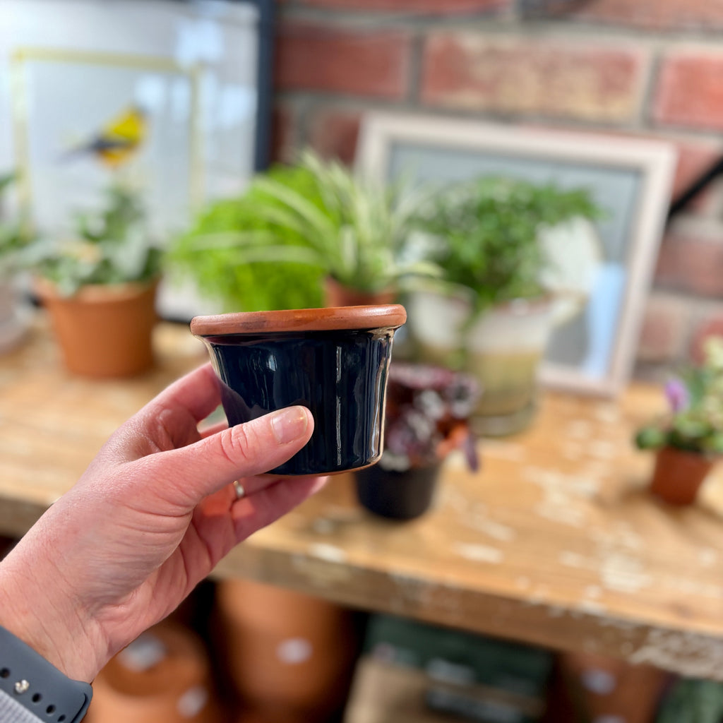 3.4" Navy Cylinder Glazed Terracotta Pot