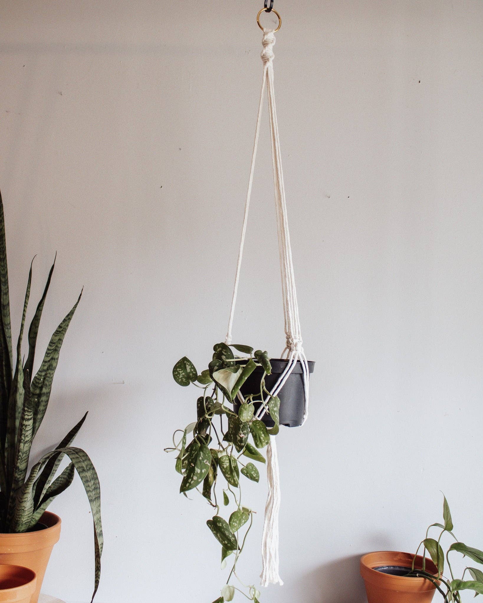 Basic Macrame Plant Hanger: Natural