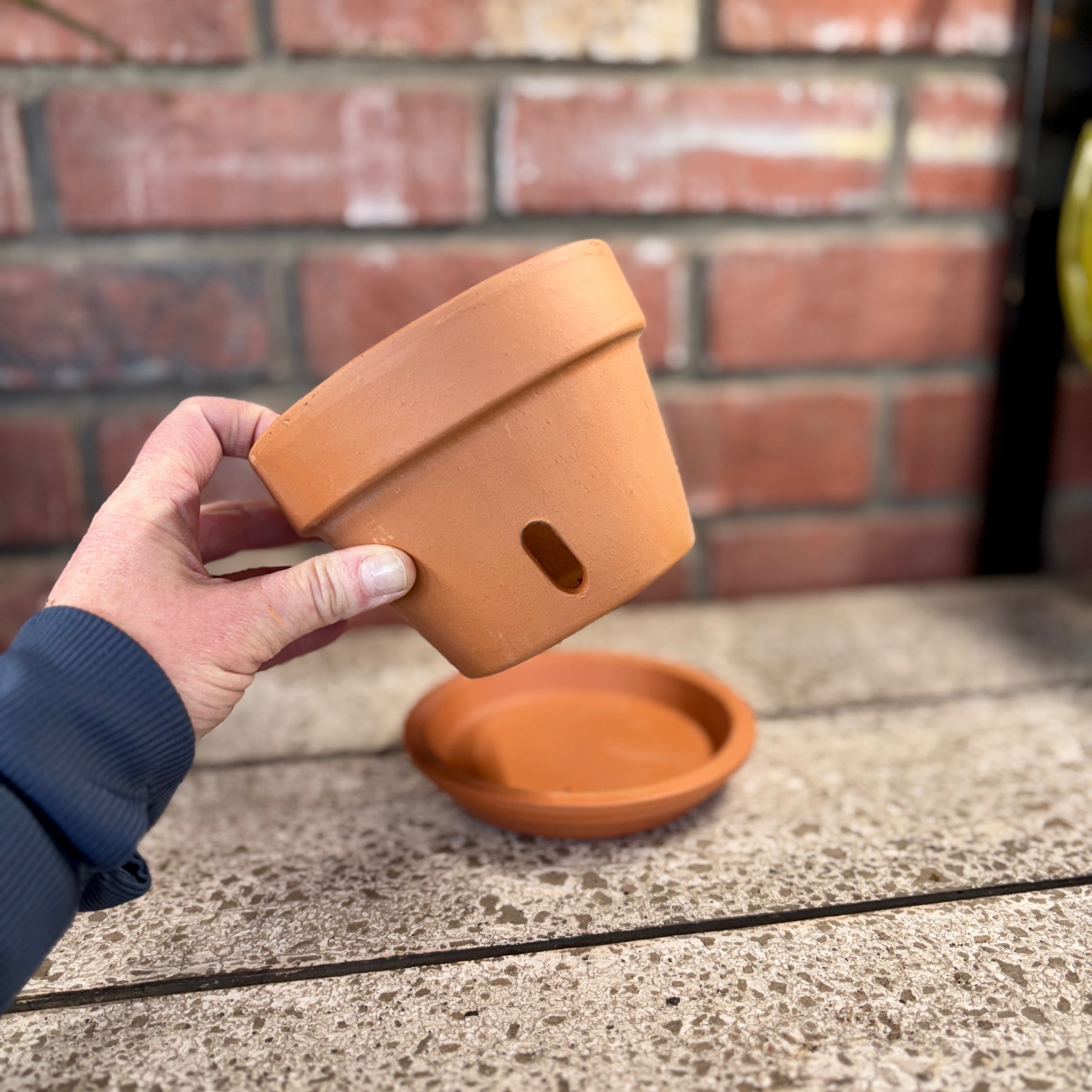 5" Terracotta Orchid Pot