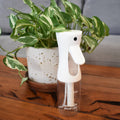 Plant Care Mister For Leaf Cleaning And Indoor Pest Control